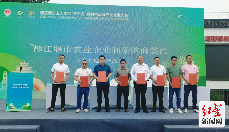 连年来,以王人江堰猕猴桃省级地舆符号居品保护示范区、天马镇省级学问产权强镇为载体,王人江堰市要点培育打造王人江堰猕猴桃区域公用品牌。市学问产权保护中心副主任杨庆先容,旧年5月,经中国品牌诞生促进会刚烈,地舆符号区域品牌王人江堰猕猴桃的品牌强度为826,品牌价值达39.16亿元。