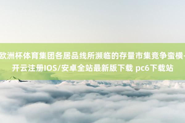 欧洲杯体育集团各居品线所濒临的存量市集竞争蛮横-开云注册IOS/安卓全站最新版下载 pc6下载站