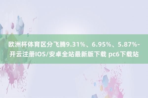欧洲杯体育区分飞腾9.31%、6.95%、5.87%-开云注册IOS/安卓全站最新版下载 pc6下载站