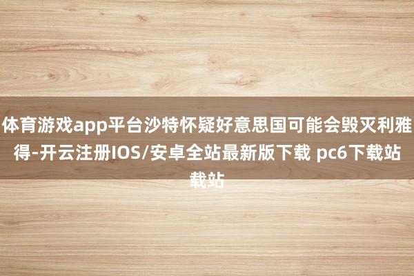 体育游戏app平台沙特怀疑好意思国可能会毁灭利雅得-开云注册IOS/安卓全站最新版下载 pc6下载站