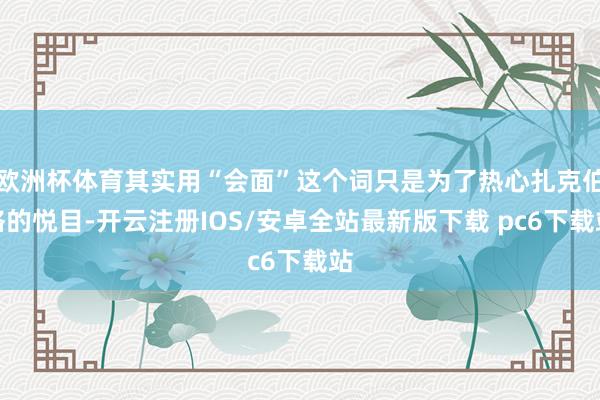 欧洲杯体育其实用“会面”这个词只是为了热心扎克伯格的悦目-开云注册IOS/安卓全站最新版下载 pc6下载站