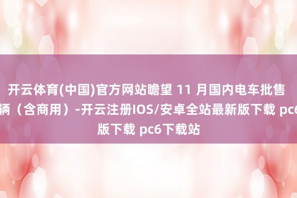 开云体育(中国)官方网站瞻望 11 月国内电车批售 155 万辆（含商用）-开云注册IOS/安卓全站最新版下载 pc6下载站