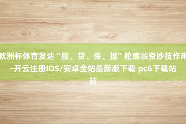 欧洲杯体育发达“股、贷、保、担”轮廓融资妙技作用-开云注册IOS/安卓全站最新版下载 pc6下载站