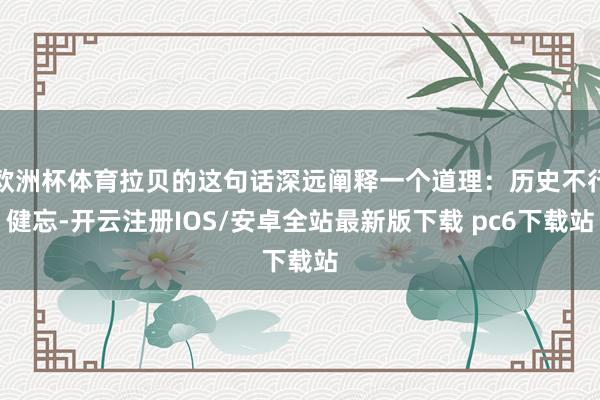欧洲杯体育拉贝的这句话深远阐释一个道理：历史不行健忘-开云注册IOS/安卓全站最新版下载 pc6下载站