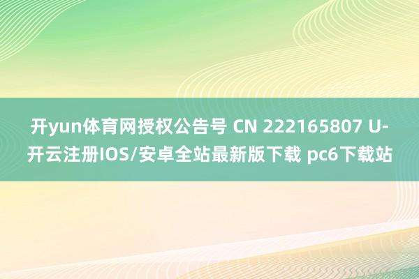 开yun体育网授权公告号 CN 222165807 U-开云注册IOS/安卓全站最新版下载 pc6下载站