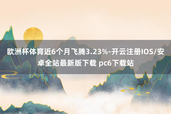 欧洲杯体育近6个月飞腾3.23%-开云注册IOS/安卓全站最新版下载 pc6下载站