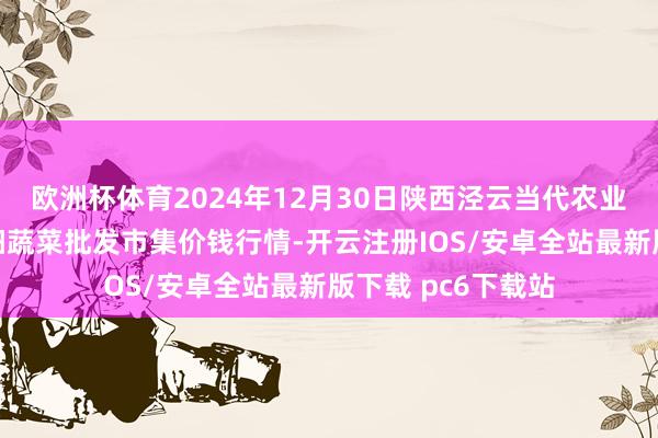 欧洲杯体育2024年12月30日陕西泾云当代农业股份有限公司云阳蔬菜批发市集价钱行情-开云注册IOS/安卓全站最新版下载 pc6下载站