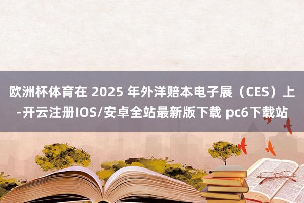 欧洲杯体育在 2025 年外洋赔本电子展（CES）上-开云注册IOS/安卓全站最新版下载 pc6下载站