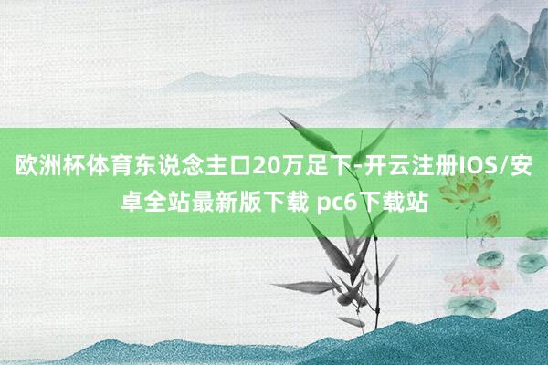 欧洲杯体育东说念主口20万足下-开云注册IOS/安卓全站最新版下载 pc6下载站