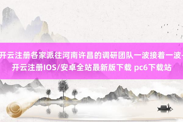 开云注册各家派往河南许昌的调研团队一波接着一波-开云注册IOS/安卓全站最新版下载 pc6下载站