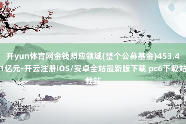 开yun体育网金钱照应领域(整个公募基金)453.41亿元-开云注册IOS/安卓全站最新版下载 pc6下载站