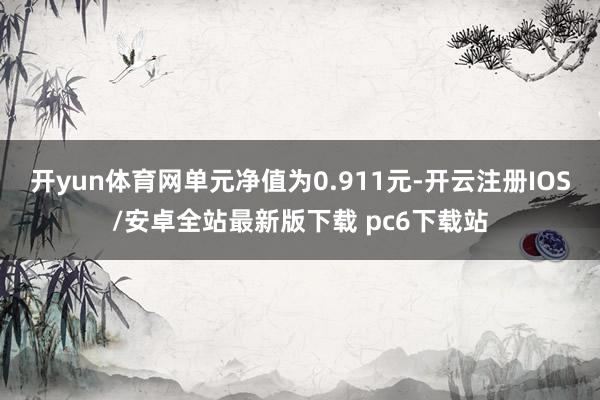 开yun体育网单元净值为0.911元-开云注册IOS/安卓全站最新版下载 pc6下载站